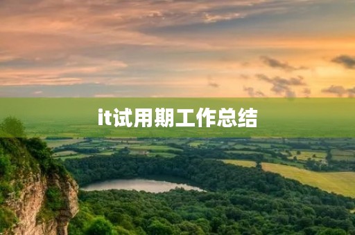 it试用期工作总结