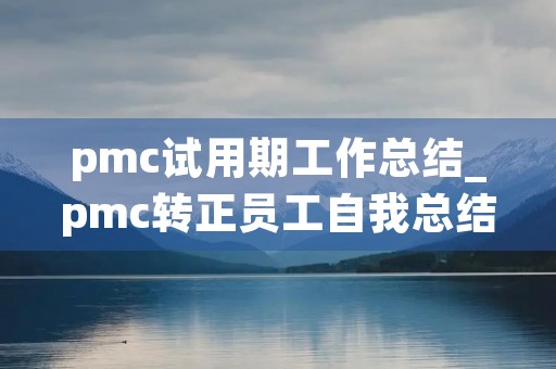 pmc试用期工作总结_pmc转正员工自我总结