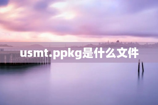 u**t.ppkg是什么文件