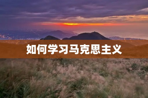 如何学习马克思主义 如何学习马克思主义