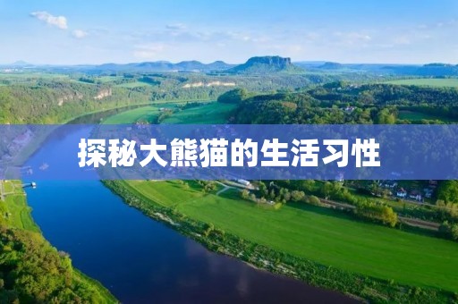 探秘大熊猫的生活习性