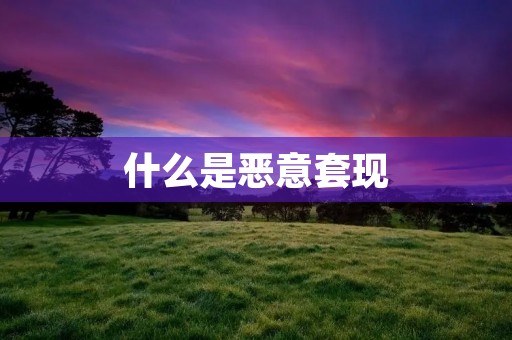 什么是恶意套现