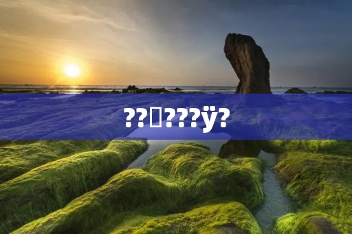 ??ѯ???ÿ?