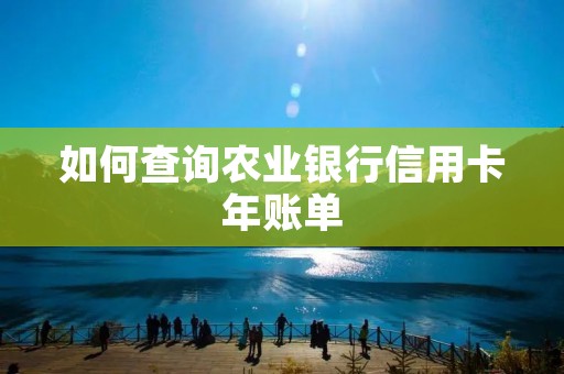 如何查询农业银行信用卡年账单
