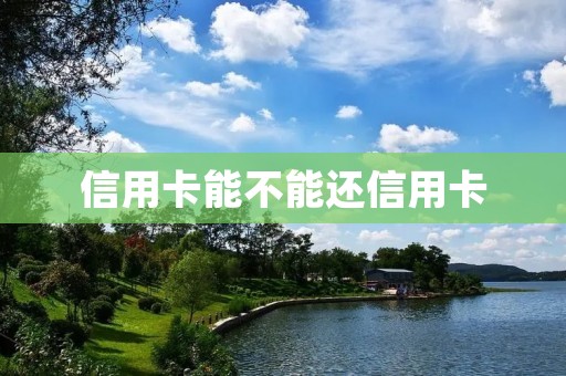 信用卡能不能还信用卡 信用卡能不能还信用卡