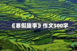 《寒假趣事》作文500字