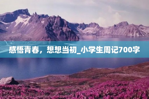 感悟青春,想想当初_小学生周记700字 感悟青春,想想当初_小学生周记700字