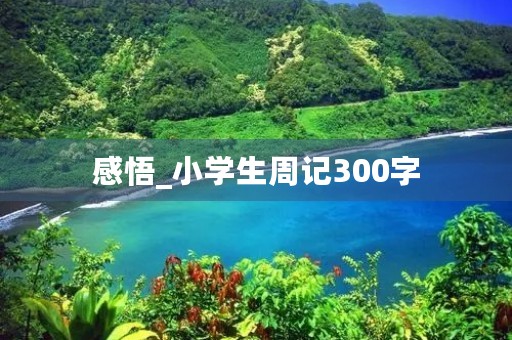 感悟_小学生周记300字 感悟_小学生周记300字