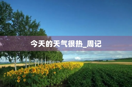 今天的天气很热_周记 今天的天气很热_周记