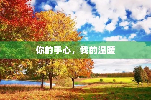 你的手心,我的温暖 你的手心,我的温暖