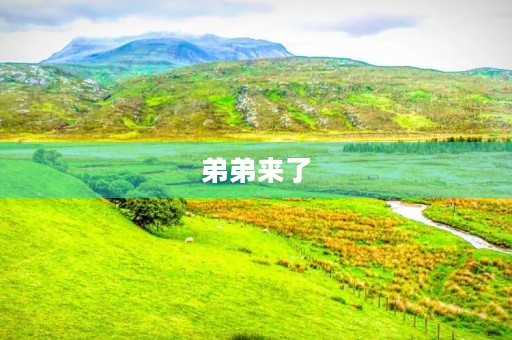 弟弟来了