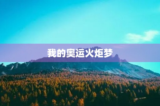 我的奥运火炬梦