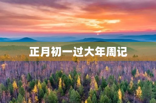 正月初一过大年周记 正月初一过大年周记