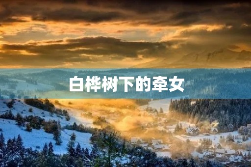 白桦树下的牵女