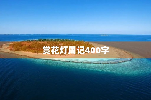 赏花灯周记400字