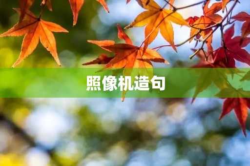 照像机造句 照像机造句