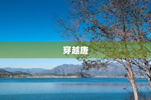 穿越唐