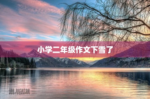 小学二年级作文下雪了 小学二年级作文下雪了