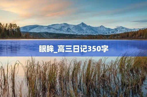 眼眸_高三日记350字