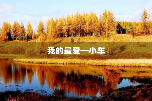 我的最爱—小车
