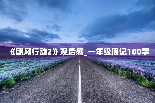 《飓风行动2》观后感_一年级周记100字 《飓风行动2》观后感_一年级周记100字