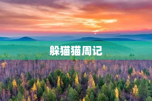 躲猫猫周记 躲猫猫周记