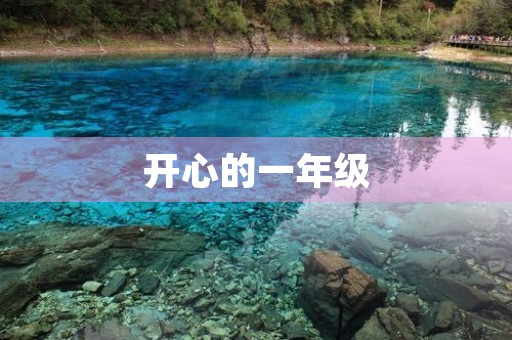 开心的一年级 开心的一年级
