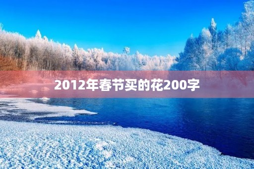 2012年春节买的花200字 2012年春节买的花200字