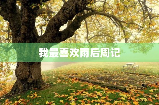 我最喜欢雨后周记