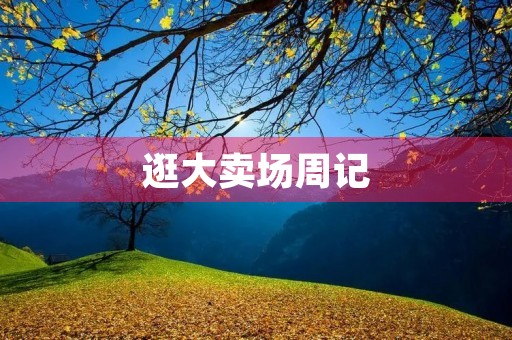 逛大卖场周记