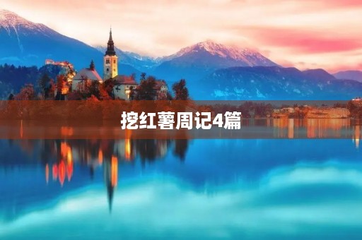 挖红薯周记4篇