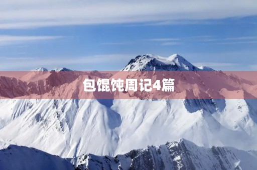 包馄饨周记4篇
