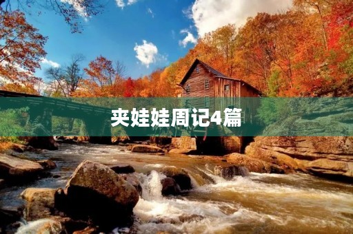 夹娃娃周记4篇