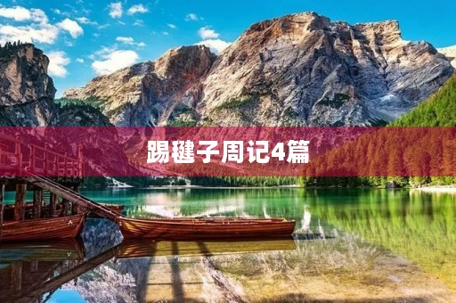 踢毽子周记4篇
