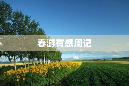 春游有感周记
