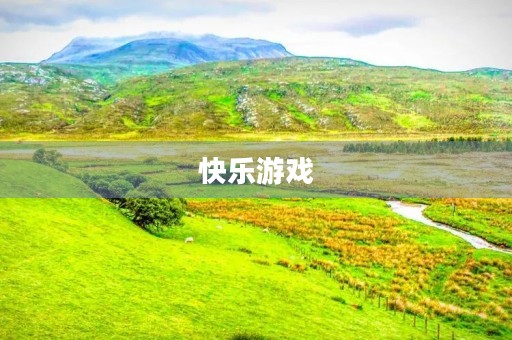 快乐游戏