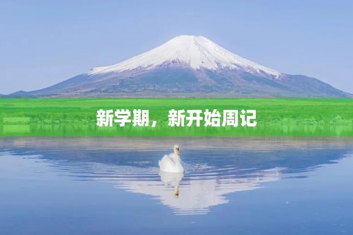 新学期，新开始周记