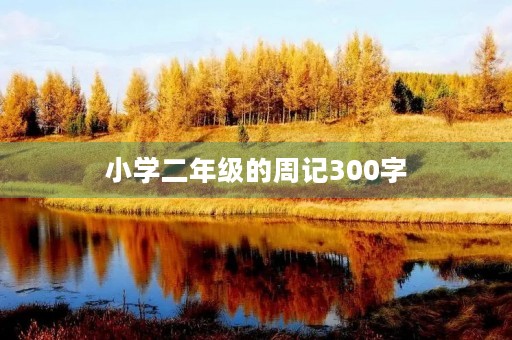 小学二年级的周记300字 小学二年级的周记300字