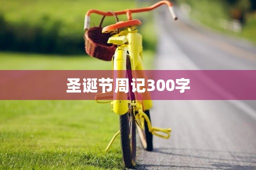 圣诞节周记300字