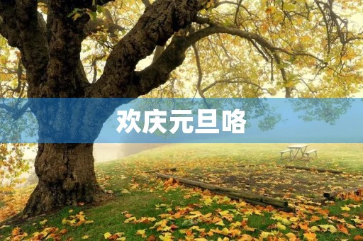 欢庆元旦咯 欢庆元旦咯