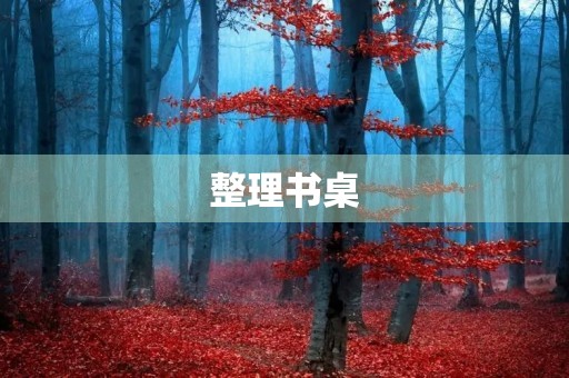 整理书桌