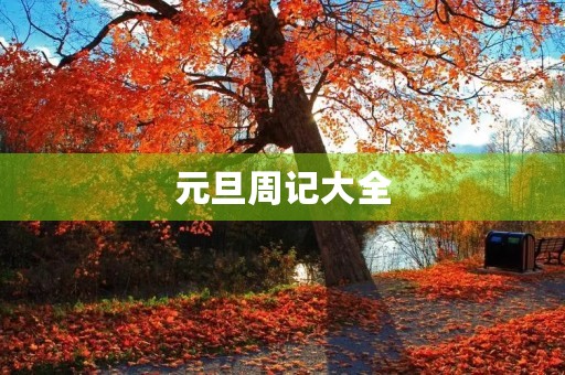 元旦周记大全 元旦周记大全
