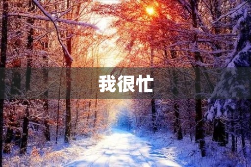 我很忙