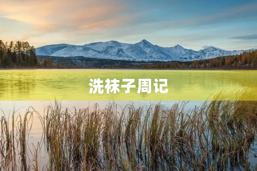 洗袜子周记