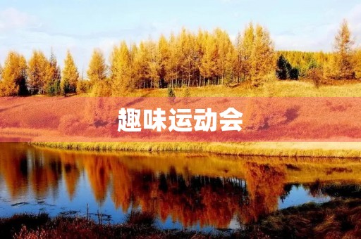 趣味运动会 趣味运动会