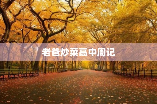 老爸炒菜高中周记