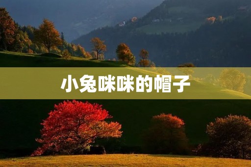 小兔**的帽子