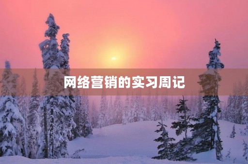网络营销的实习周记