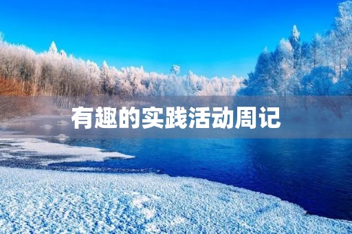 有趣的实践活动周记