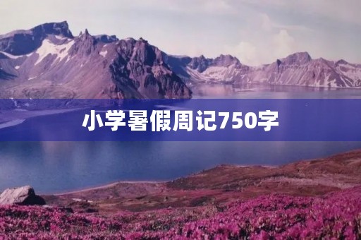 小学暑假周记750字 小学暑假周记750字